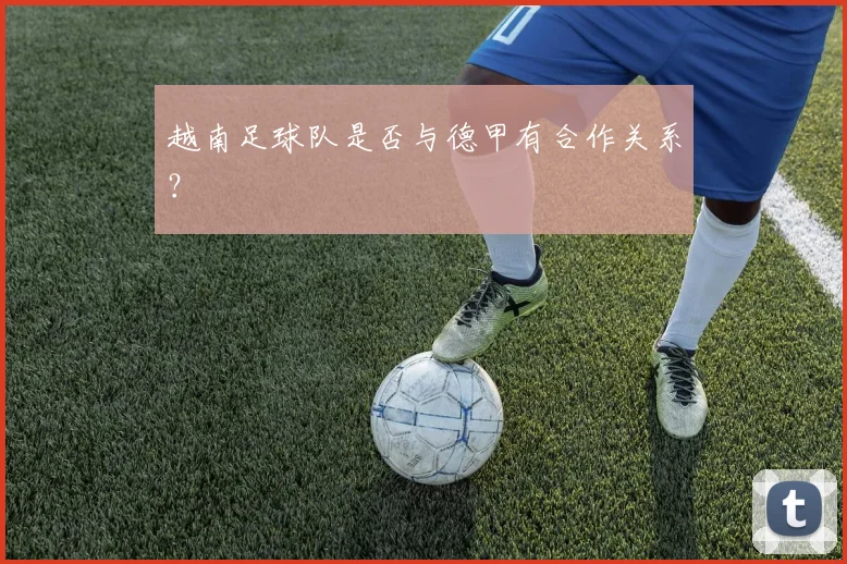 越南足球队是否与德甲有合作关系?
