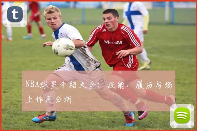 NBA球星介绍大全：技能、履历与场上作用分析
