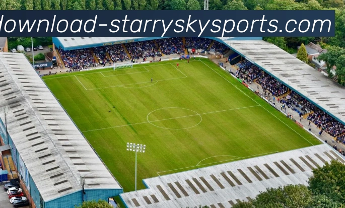 多媒体互动体验