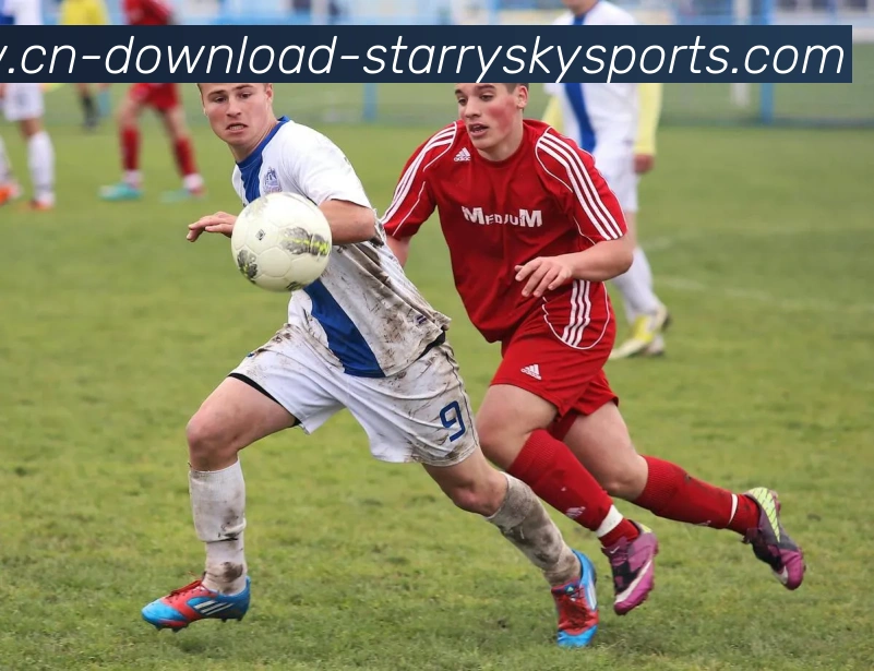 星空体育APP 高清赛事图